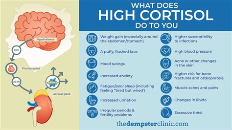 What Problem Can Occur With ACTH? If too much ACTH is. . What causes high cortisol levels